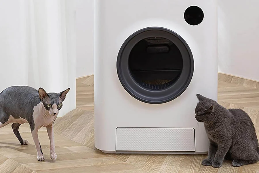 odor free cat box