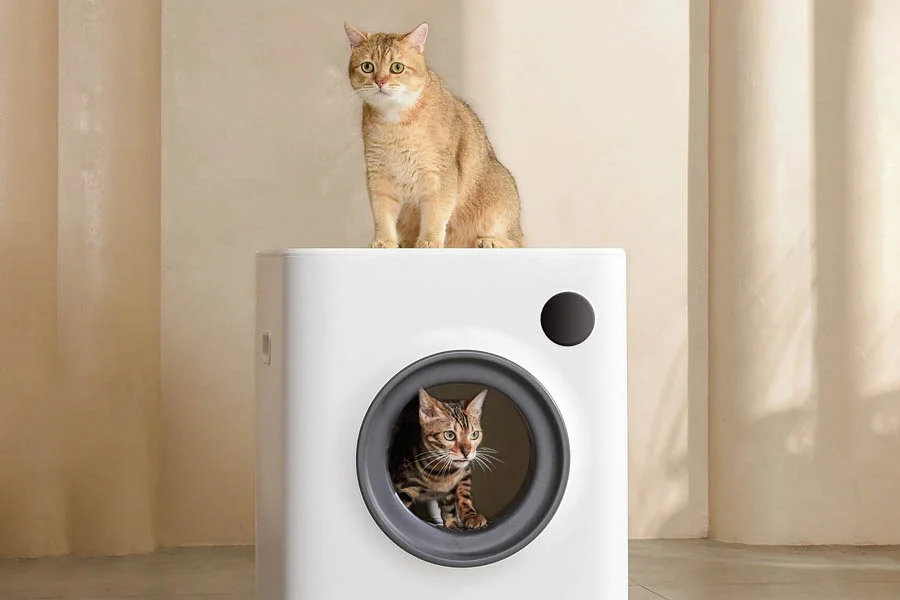 what is the best automatic litter box